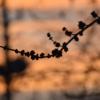 2/15/20 - D5300