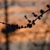 2/15/20 - D5300 2/15/20 - D5300