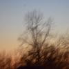 2/21/20 - D5300 2/21/20 - D5300