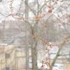 2/26/20 - D5300 2/26/20 - D5300