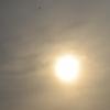 3-28-20-D5300 3-28-20-D5300